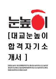 [대교눈높이-최신공채합격자기소개서]눈높이자소서,눈높이선생님자기소개서,눈높이교육컨설턴트자소서,눈높이자기소개서,대교눈높이자소서,대교,눈높이