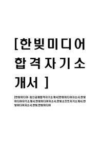 [한빚미디어-최신공채합격자기소개서]한빚미디어자소서,한빚미디어자기소개서,한빚미디어자소서,한빚소프트자기소개서,한빚미디어자소서,한빚,한빚미디어