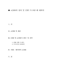 [인터넷마케팅][eCRM프로세스]eCRM의 정의 및 실행 프로세스에 대하여