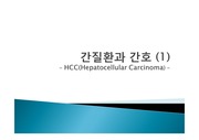HCC,간질환과 간호