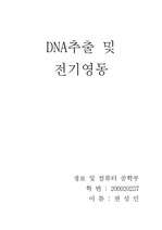 2013.7.8 DNA추출 및 전기영동 권성민