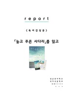 [A+레포트] 높고푸른사다리 공지영 비평 독서감상문 서평 독후감