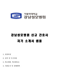[자기소개서] 강남성모병원 신규간호사 자기소개서