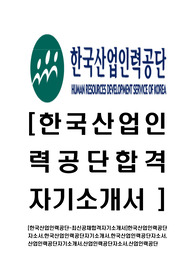 [한국산업인력공단-최신공채합격자기소개서]한국산업인력공단자소서,한국산업인력공단자기소개서,한국산업인력공단자소서,산업인력공단자기소개서,산업인력공단자소서,산업인력공단