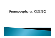 pneumocephalus case study(기뇌증 간호과정)