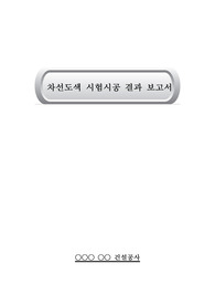 차선도색 시험시공 결과 보고서,차선도색, 차선도색시험시공,