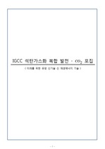 유망 신기술 신 재생에너지 기술 - IGCC 석탄가스화 복합 발전 보고서