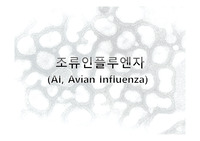 [PPT] 조류인플루엔자 (생명공학,식품생명)