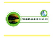 PCR 기본 내용 강의안