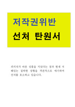 저작권 위반 탄원서 (피의자의 친구가 작성)  선처 호소문