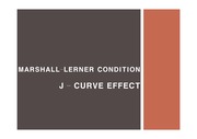 마셜러너조건 / J - curve 효과 / 환율 변동의 효과를 통한 가격탄력성
