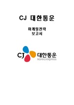 CJ대한통운 마케팅전략분석/CJ 대한통운 서비스전략분석/Cj 대한통운 기업성과분석