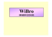 Wibro(와이브로) 발표자료
