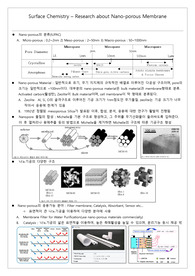나노 기공 막 Report