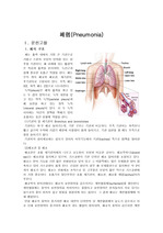 폐렴 간호과정