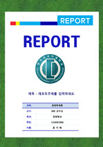 한국외국어대학교 레포트표지
