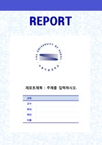 서울시립대학교 레포트표지