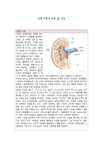 신장기 구조와 기능