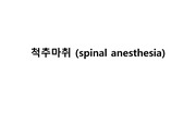 척추마취 (spinal anesthesia)