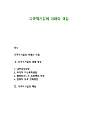 다국적기업의 미래와 책임