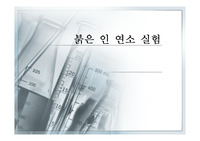 붉은 인 연소실험