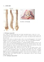 정형외과 척추협착 case study
