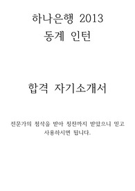 하나은행 2013 동계인턴 합격자기소개서