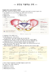 분만실 자율학습과제