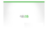 식용곤충 정보전달 PPT(A+)