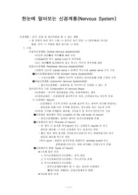 [해부학] 신경계통 정리입니다.