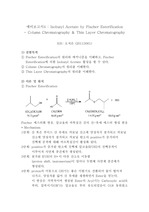 예비보고서-Isobutyl Acetate by Fischer Esterification