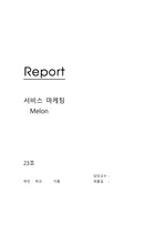 Melon 서비스 마케팅 보고서