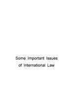 <영문> Important Issues of International Law