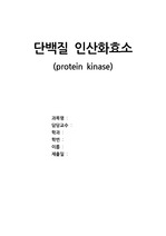 단백질 인산화효소 (protein kinase)