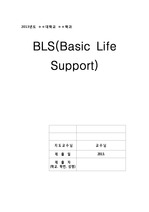 BLS(Basic Life Support), bls에 대한 정리, 응급간호학 bls