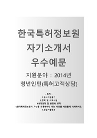 (한국특허정보원자기소개서 + 면접기출문제) 한국특허정보원(청년인턴/특허고객상담) 자소서 합격예문 [한국특허정보원합격자기소개서/한국특허정보원자소서항목]