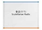 황금 Scutellariae Radix 의 기원, 성상, 성분, 약리, 확인시험, 응용 및 처방, 최신 논문 3편 리뷰