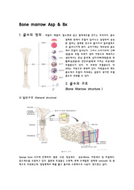 혈액종양 진단적 검사, 골수 검사