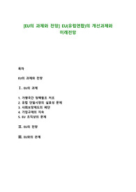 [EU의 과제와 전망] EU(유럽연합)의 개선과제와 미래전망