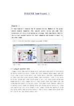 Electronic Commerce 2012  전자상거래 연습문제 과제(팀프로젝트 1)