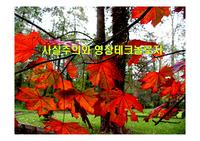 사실주의와 영상테크놀로지