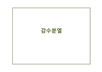 생물학 발표 - 감수분열