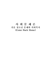 [가족복지론]가출청소년문제