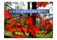 CJ GLS의 물류시스템과 물류혁신