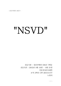 모성간호학 산부인과 OBGY 간호과정(csaestudy) 자연분만(NSVD) 진단 2개!!