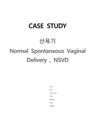 모성간호학 실습 case study 간호진단 3개