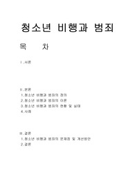 [사회복지학]청소년비행과범죄