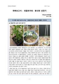 A+받은 실과교육방법론 방울토마토, 봉선화 재배 보고서