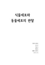 식물세포와 동물세포의 관찰