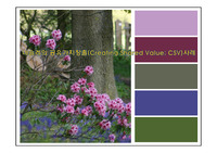 네슬레의 공유가치창출(Creating Shared Value; CSV)사례